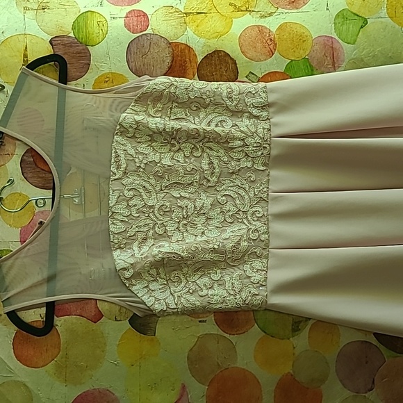 Dusty rose poly spandex  creates a lovely designer dress. I wish it fit me! - Picture 2 of 12